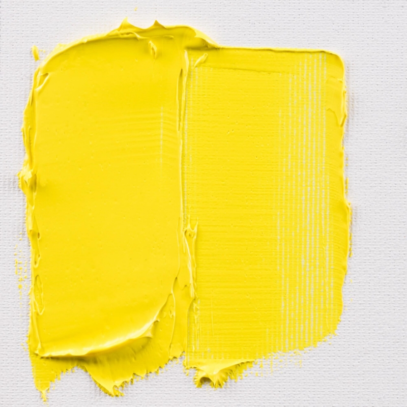 Talens Art Creation Yağlı Boya 40 ml 205 Lemon Yellow (Primary) - Görsel 2