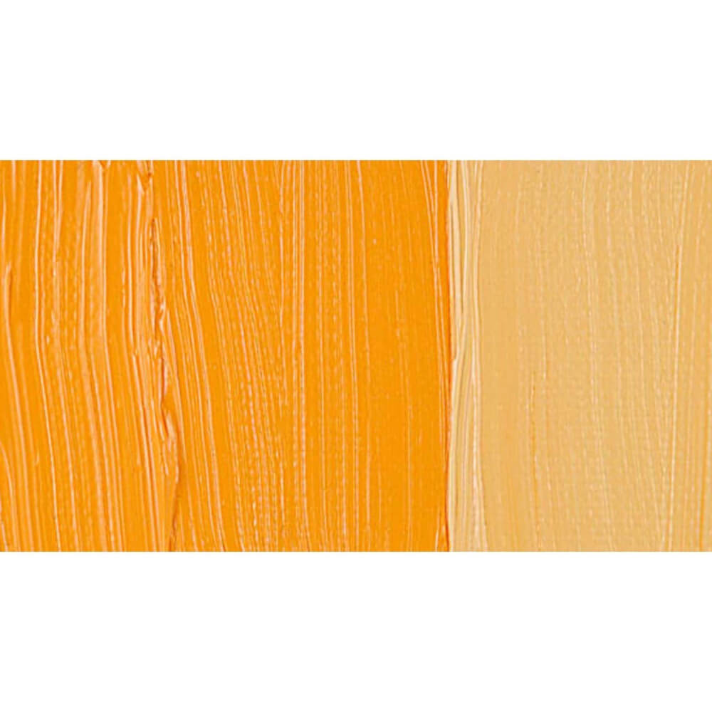 Talens Van Gogh Yağlı Boya 40 ml Seri 1 270 Azo Yellow Deep - Görsel 2