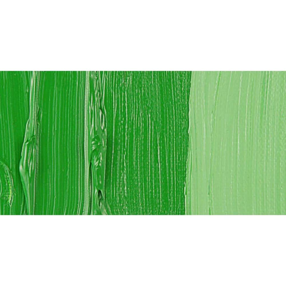 Talens Van Gogh Yağlı Boya 200 ml Seri 1 614 Permanent Green Medium - Görsel 2