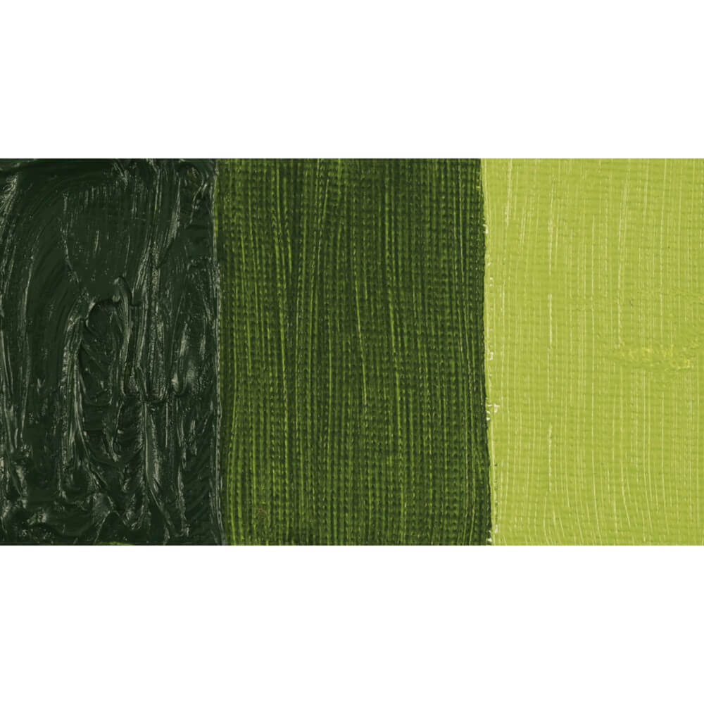 Talens Van Gogh Yağlı Boya 40 ml Seri 2 620 Olive Green - Görsel 2