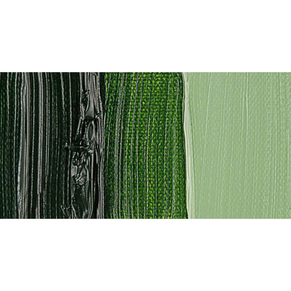 Talens Van Gogh Yağlı Boya 40 ml Seri 1 623 Sap Green - Görsel 2