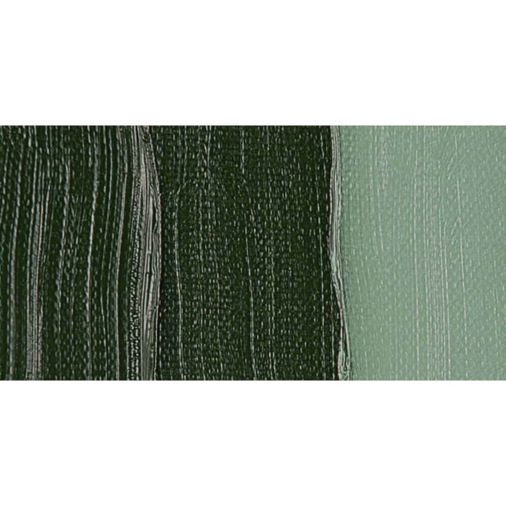 Talens Van Gogh Yağlı Boya 200 ml Seri 1 629 Green Earth - Görsel 2