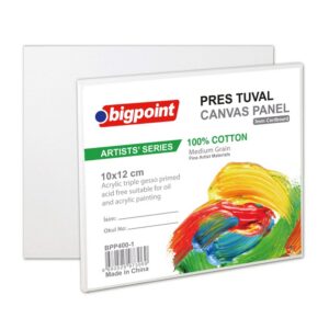 Bigpoint Artists' Pres Tuval 10x12 cm