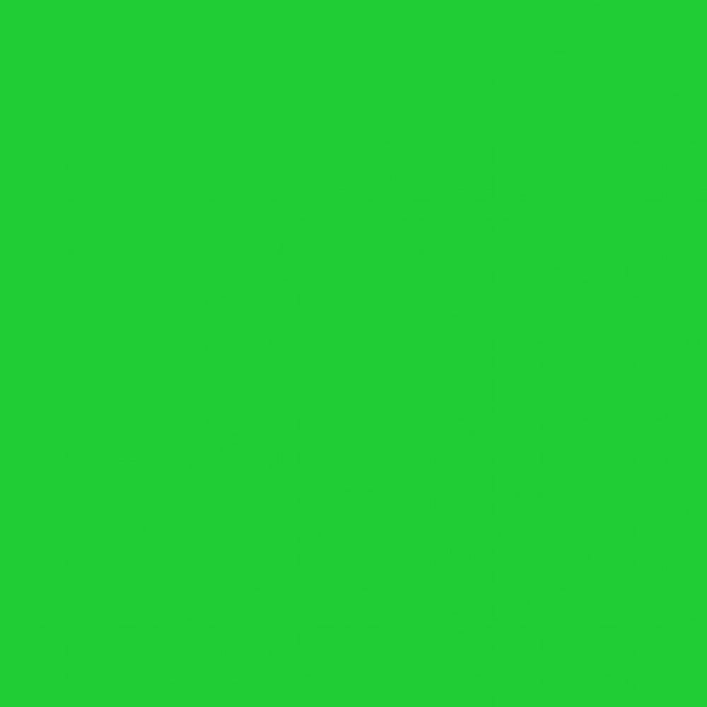 Pebeo Setacolor Opaque Kumaş Boyası 45 ml 82 Leaf Green - Görsel 2